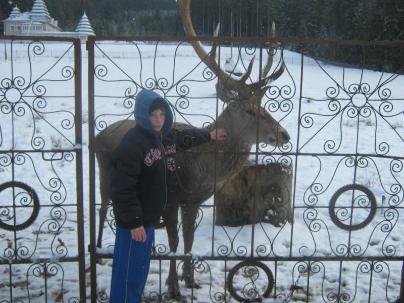 Лісництво 2010 - Селятин