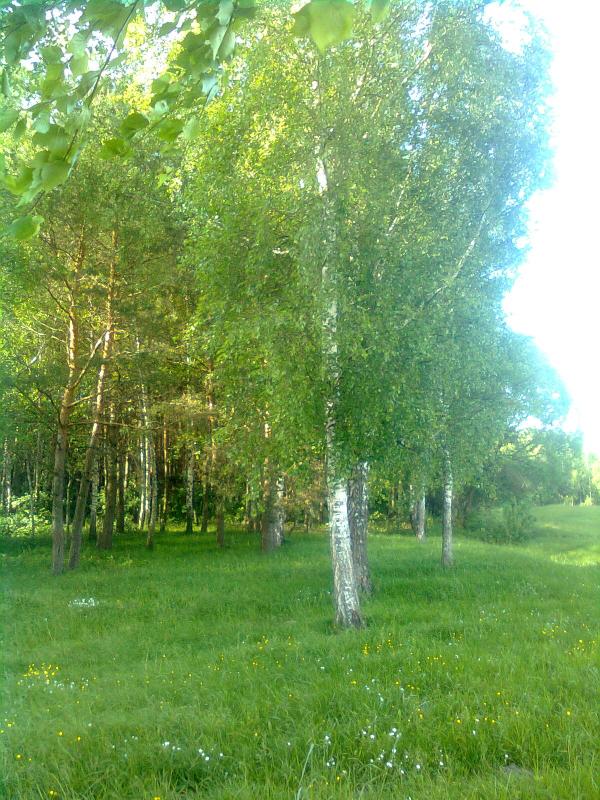 Моє село - Тетевчицы