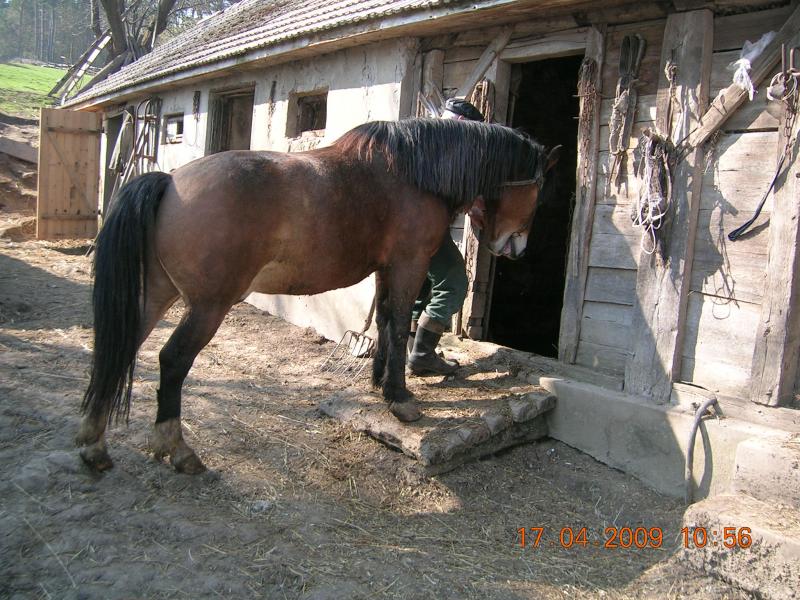 Краса, що оточує нас... - Чайчинцы