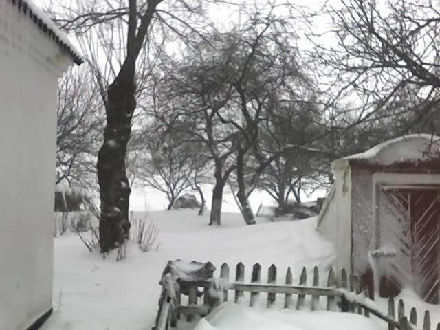 МІй Рідній діим - Підбрусинь