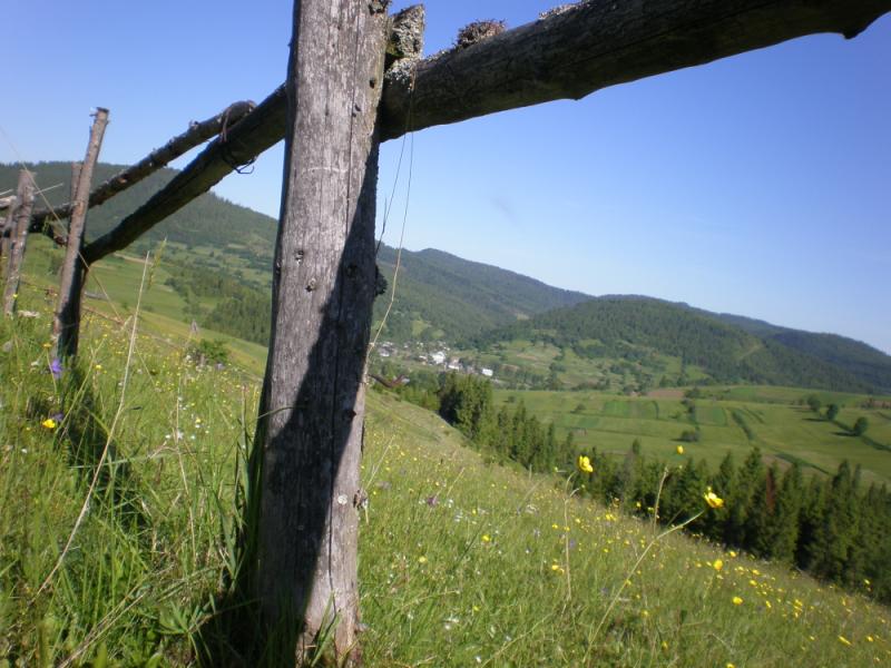 Краєвиди с.Бітля - Битля