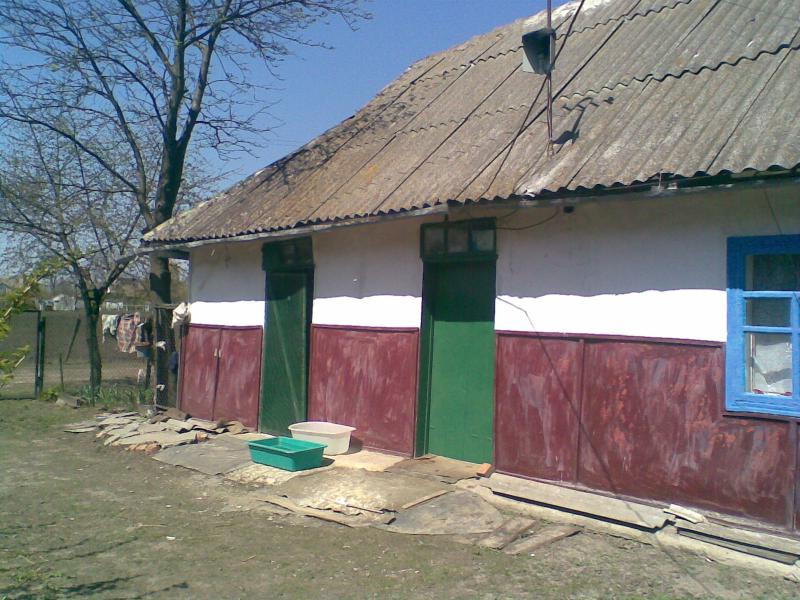 Фото - Петриківці