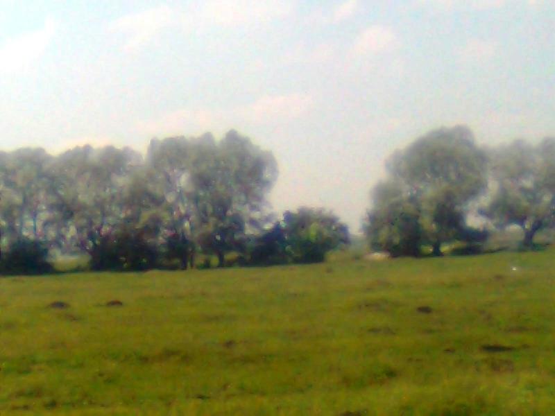Моє село - Тетевчицы