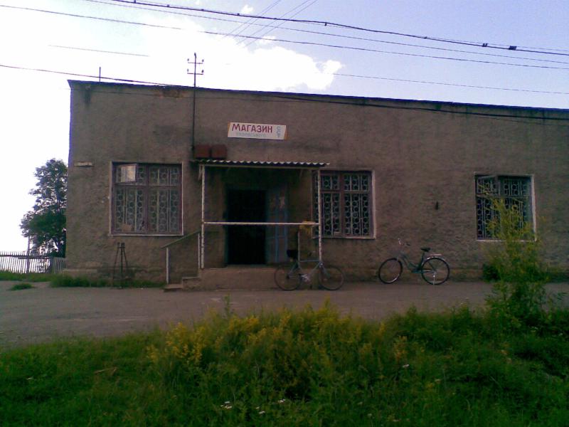 Фото - Petrykivtsi