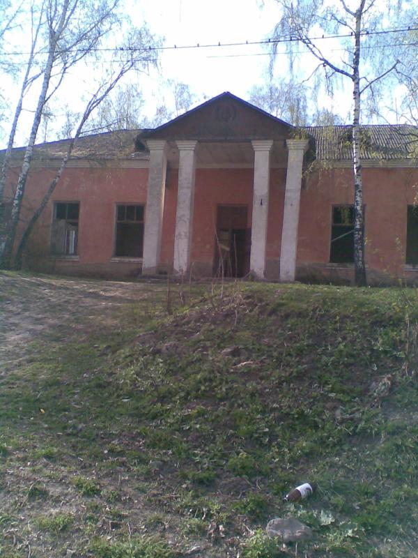 Фото - Petrykivtsi