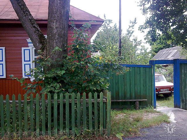 Село - Орликівка