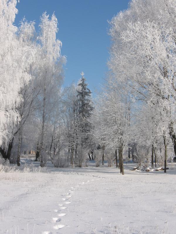 Рідне село - Войниха