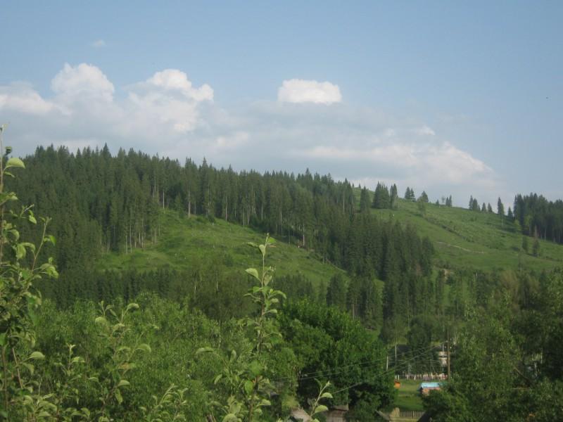 Селятин - Селятин