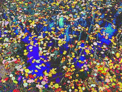 Природа - Мельниця-Подільська