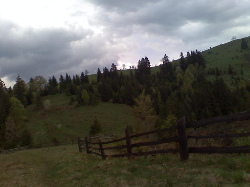 фошки - Фошки