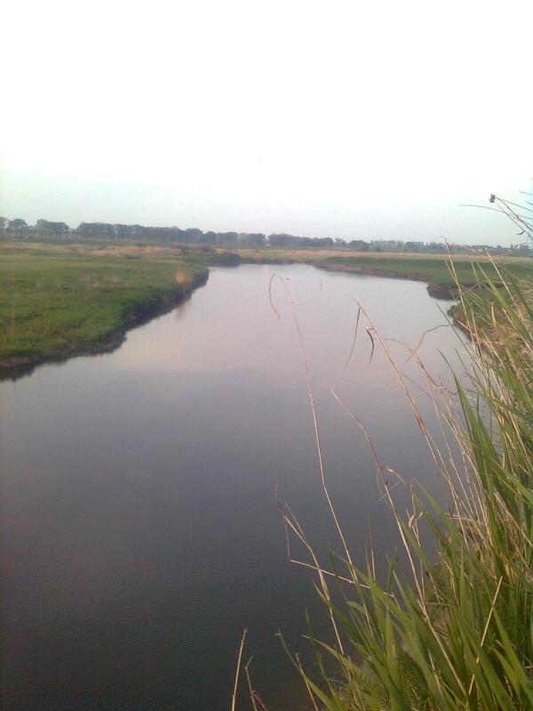 Смор2 - Вербичне