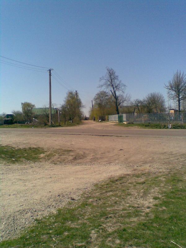 Фото - Петриківці