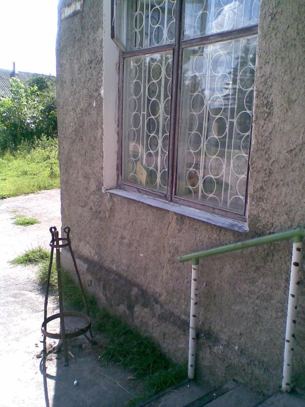 Фото - Petrykivtsi