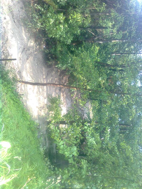 Наше - Ясениця-Сільна