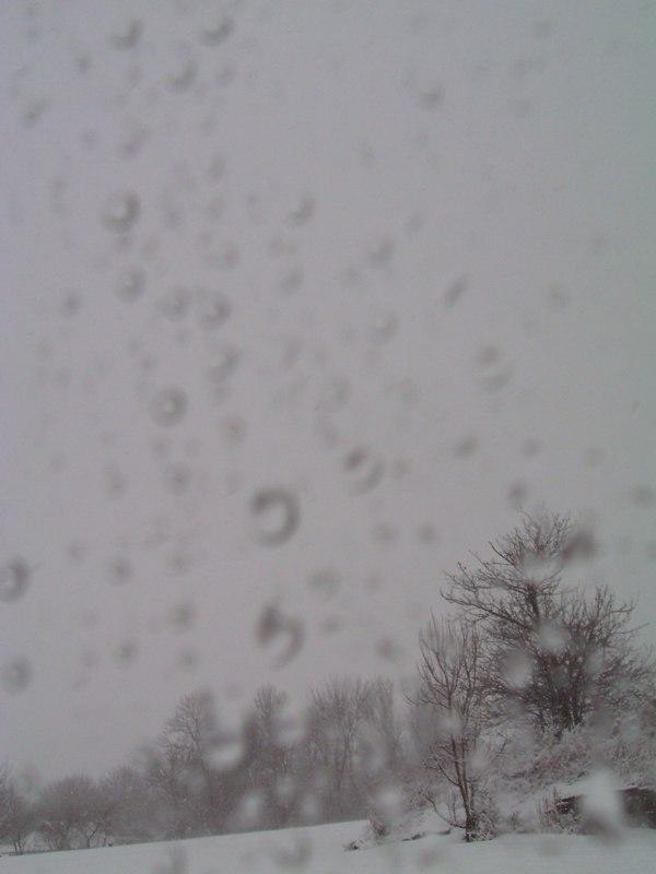 Родная Басовка - Басівка