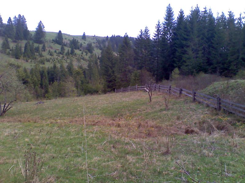 фошки - Фошки