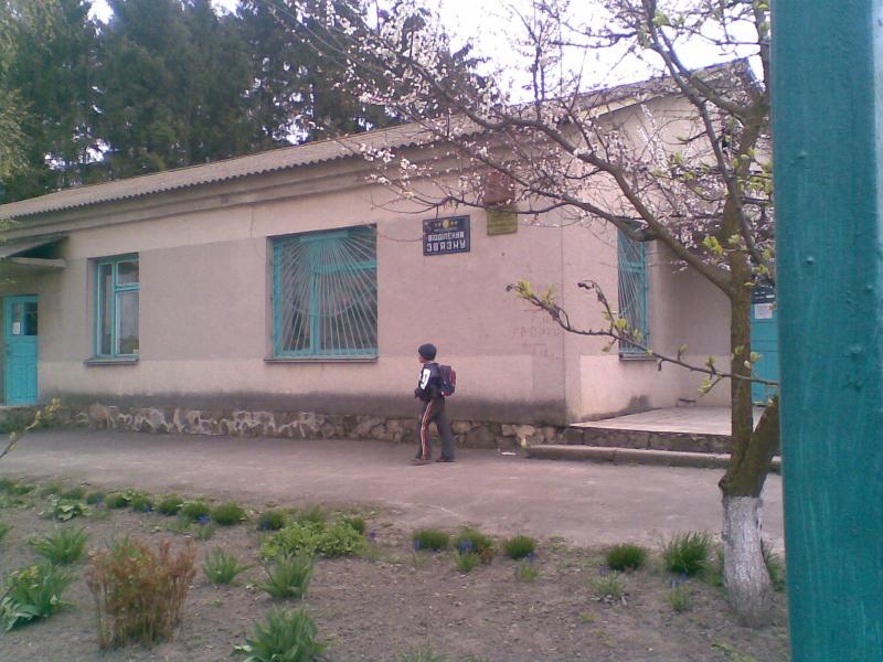 Фото - Petrykivtsi