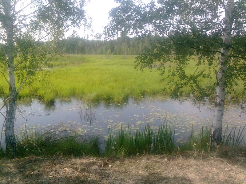Рибалки - Переброди