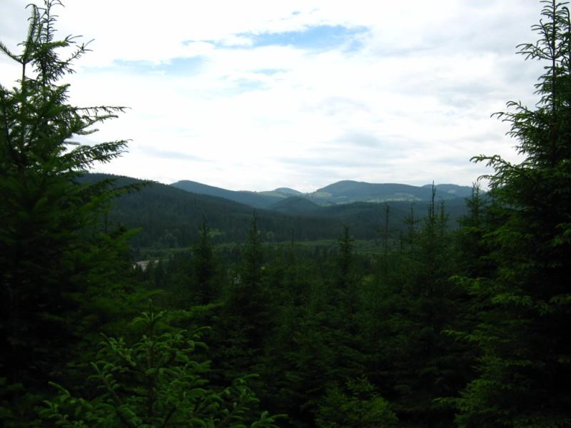  Різне - Селятин