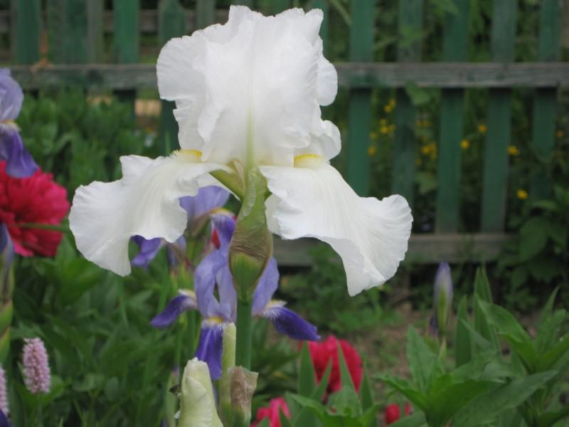 Різне - Селятин