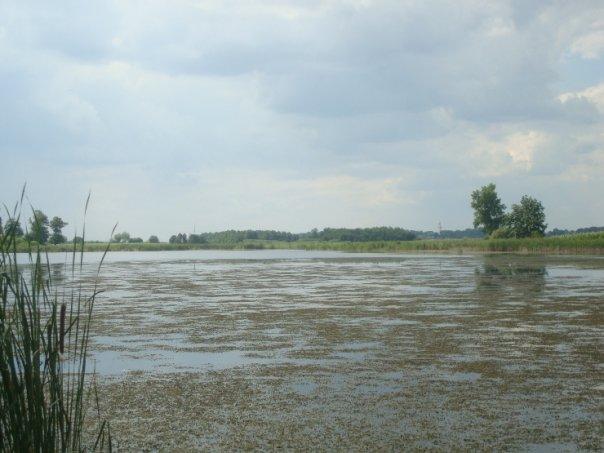 Купель - Купіль