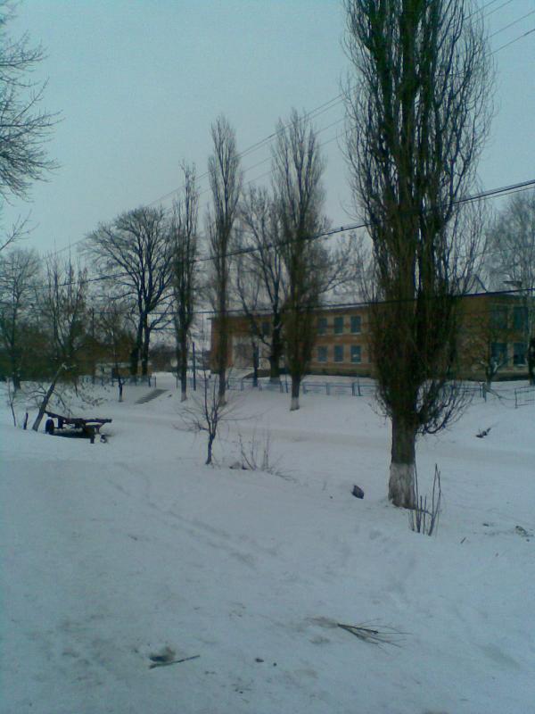 Фото - Petrykivtsi