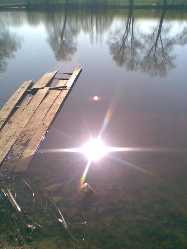 Фото - Petrykivtsi