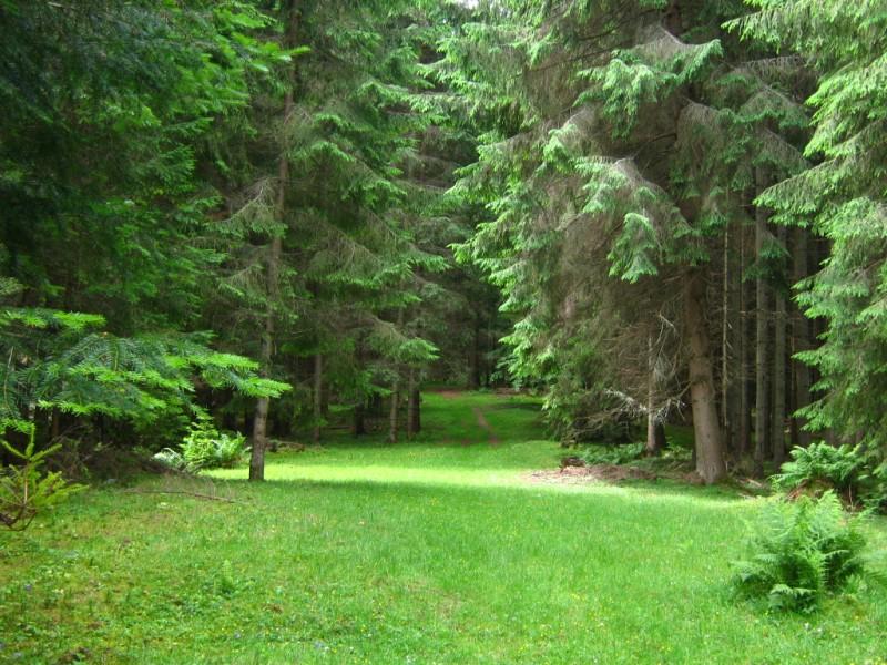 Різне - Селятин