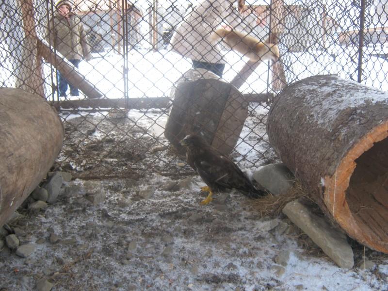 Лісництво 2010 - Селятин