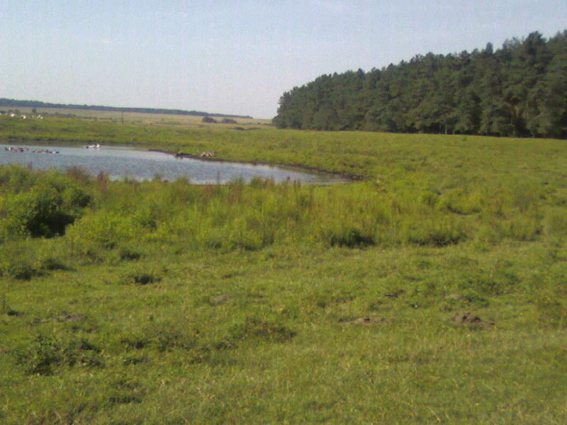 Моє село - Тетевчицы