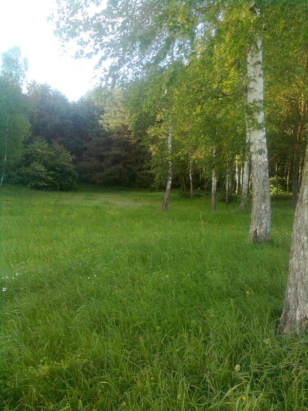 Моє село - Тетевчицы