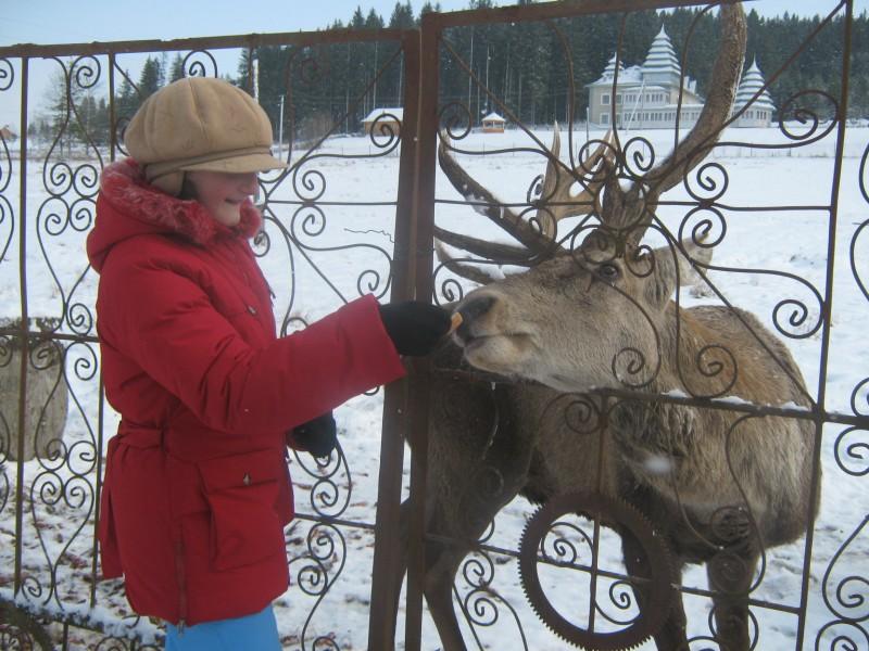 Лісництво 2010 - Селятин