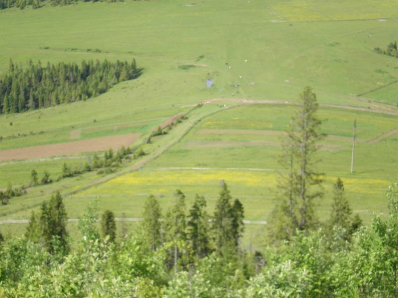 Краєвиди с.Бітля - Битля
