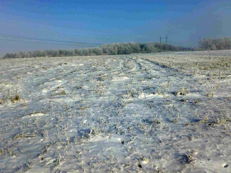 - - Багатківці