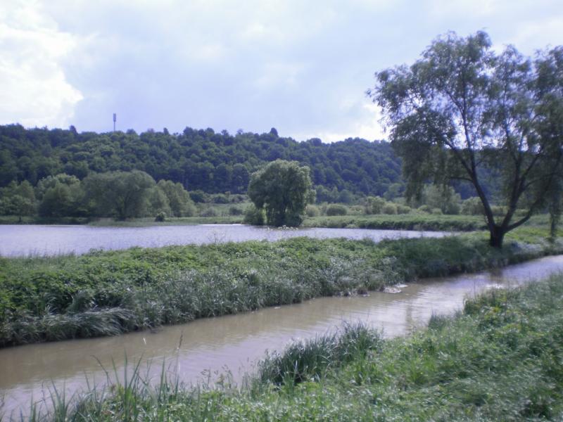 Воля-Гомулецька - Воля-Гомулецька