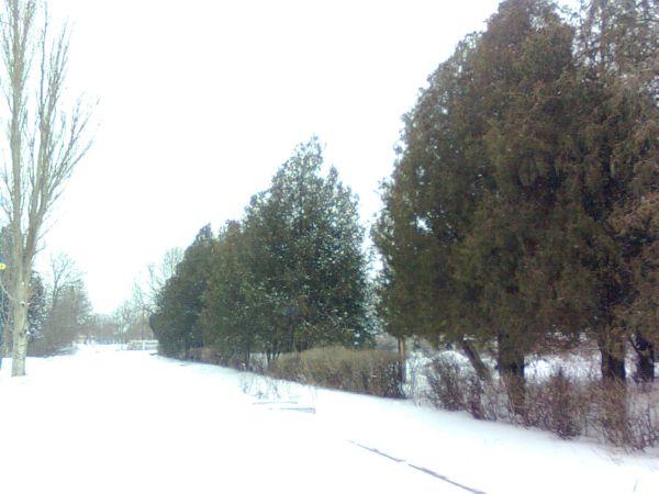 Novovoskresens'ke - Нововоскресенське