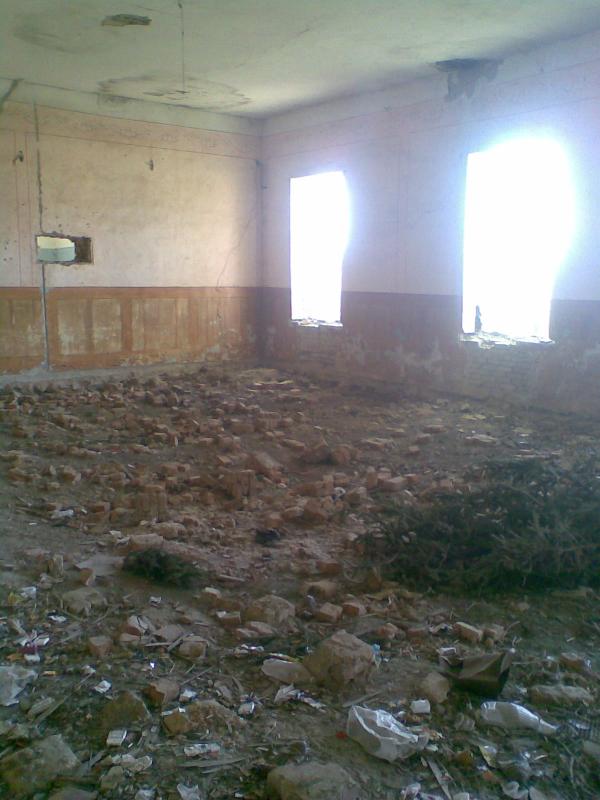 Фото - Петриківці