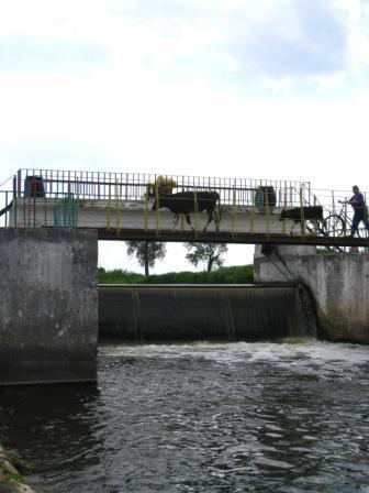 Поїзди гудуть за Ірпінню... - Ірпінь