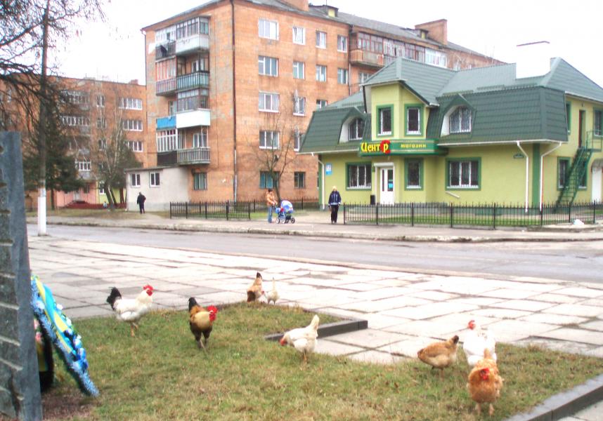 Orzhiv - Оржів