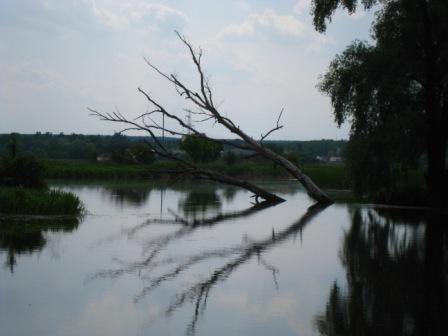 Поїзди гудуть за Ірпінню... - Ірпінь