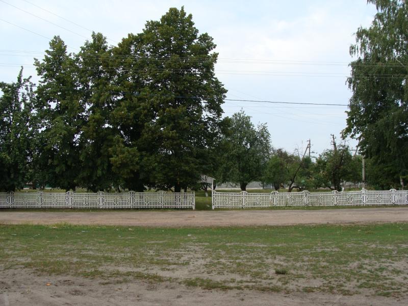 Фото с Солдатского. - Солдатське