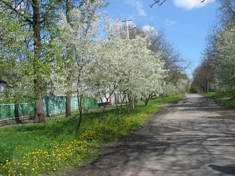 місто Звенигородка - Звенигородка