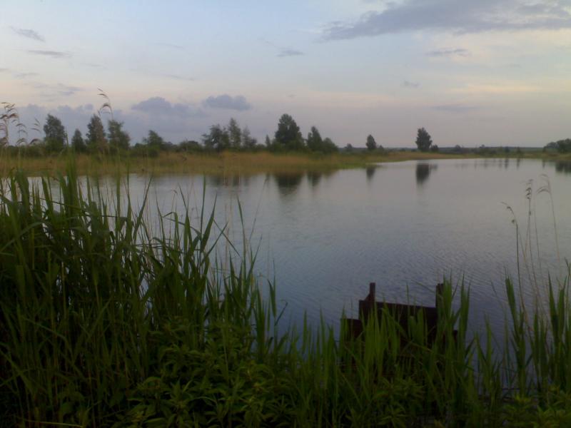 Моє село - Тетевчицы