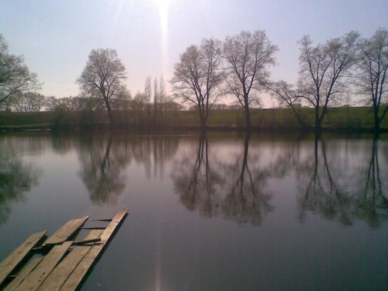 Фото - Petrykivtsi