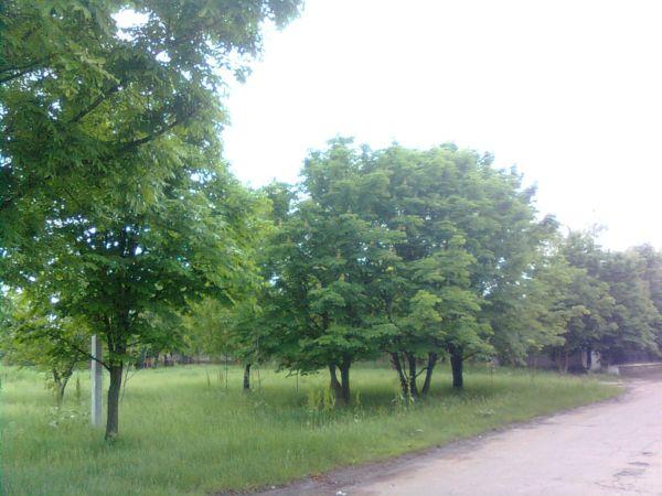 Нововоскресенське, Нововоронцовський Район - Нововоскресенское