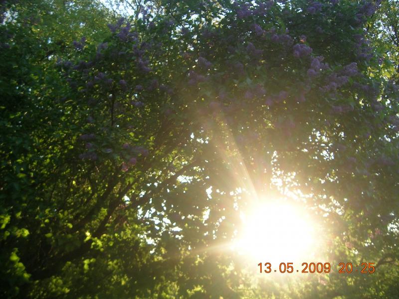 Краса, що оточує нас... - Чайчинці