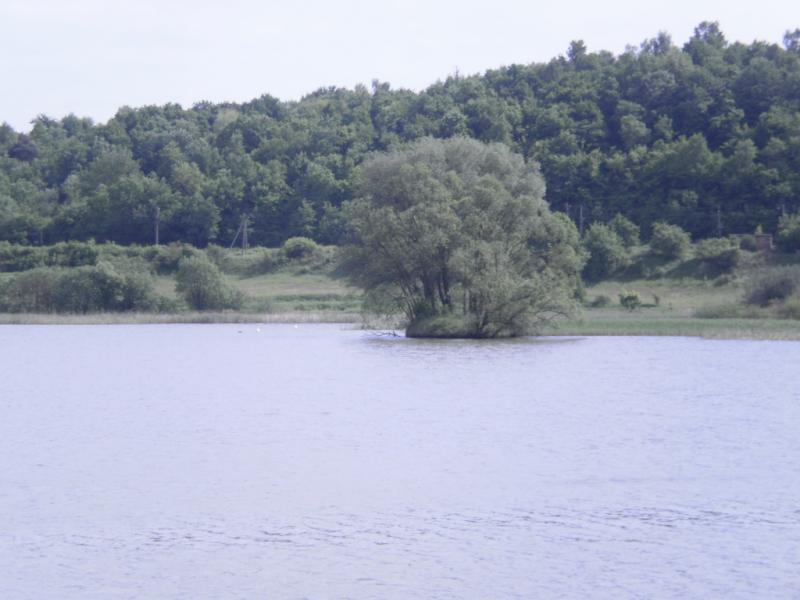 Воля-Гомулецька - Воля-Гомулецька