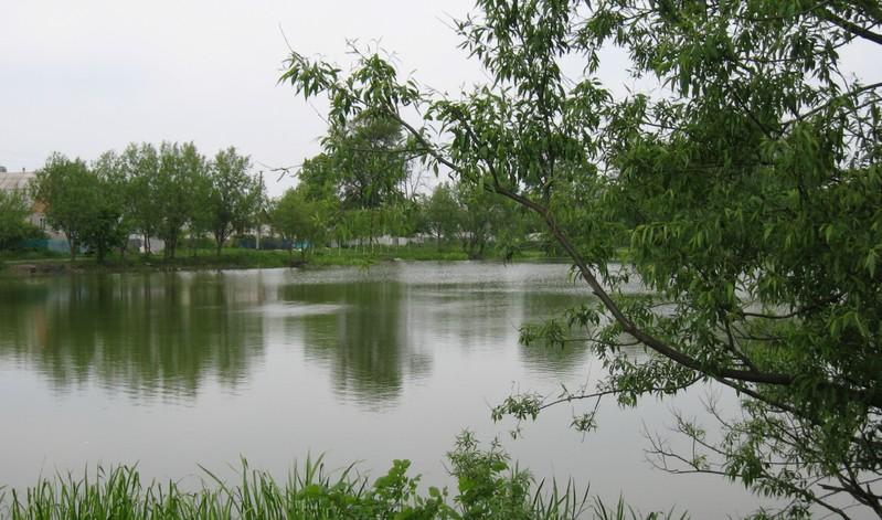 Мальовничі куточки села Бровки - Бровки Перші