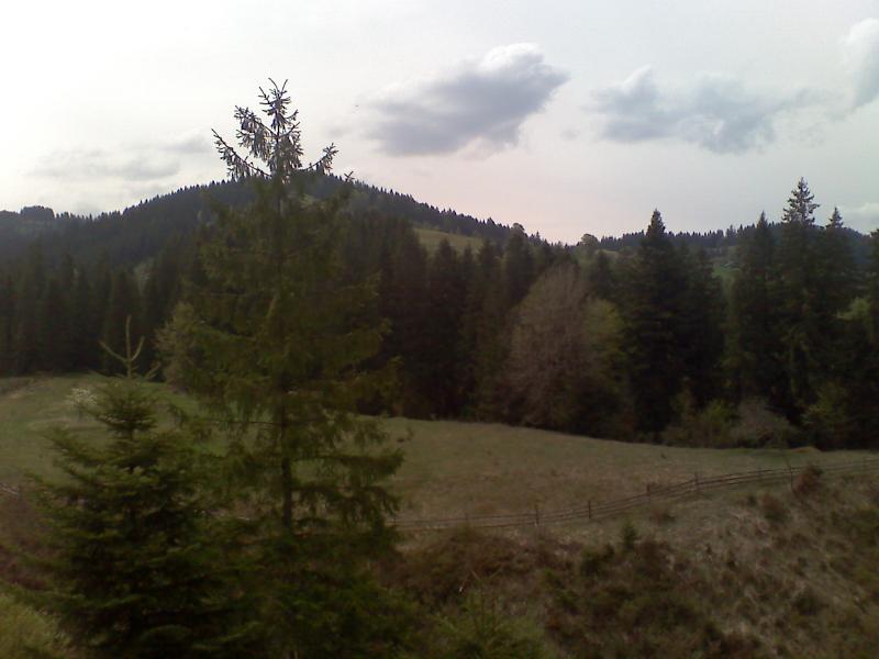 фошки - Фошки