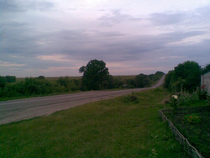Фото - Petrykivtsi